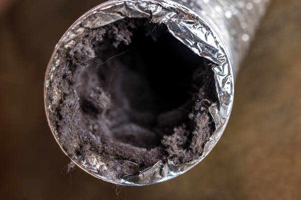 Best Local Air Duct Cleaning Services  in Lakeport, TX